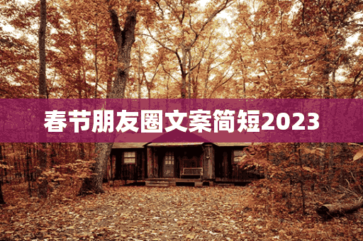 春节朋友圈文案简短2023(春节朋友圈文案简短2023年怎么写)